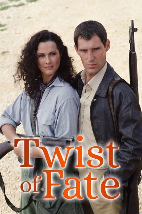 Twist of Fate Miniseries poster