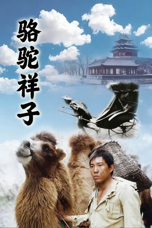 骆驼祥子 Season 1 poster