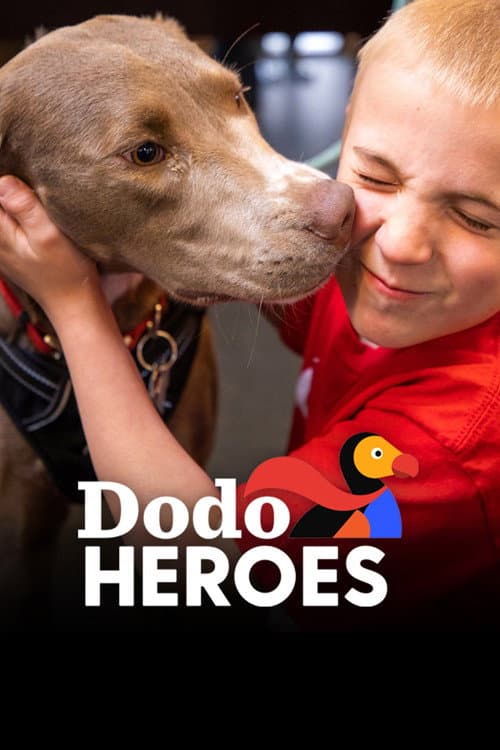 Dodo Heroes Season 2 poster