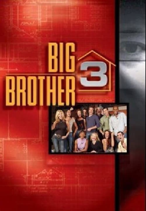 Big Brother Season 3 poster