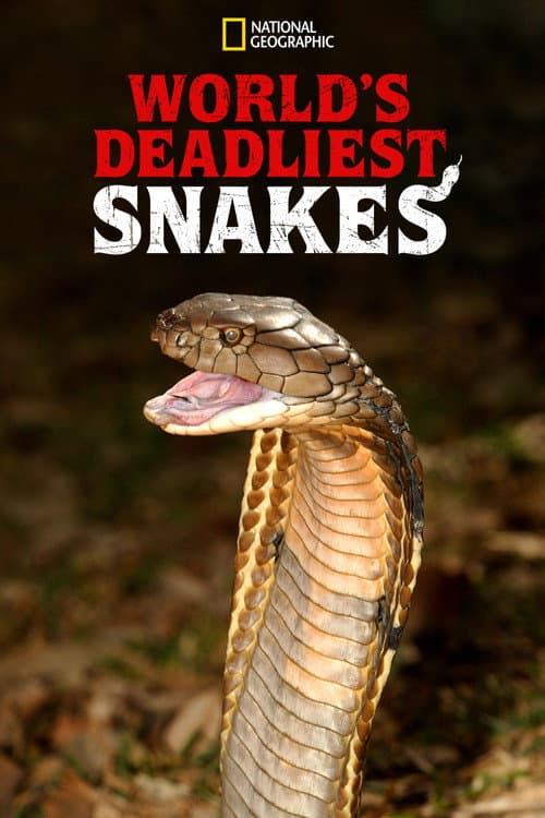 World's Deadliest Snakes Season 1 poster