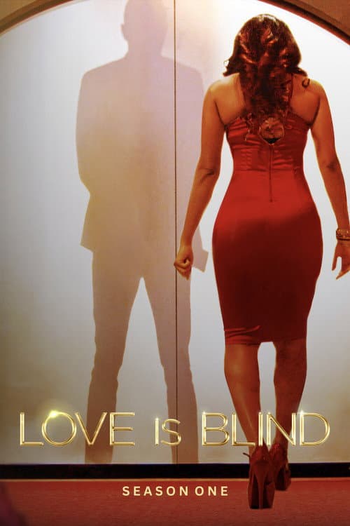 Love Is Blind Season 1 poster