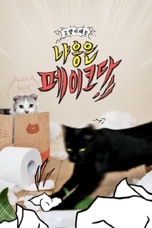 Decoding Meow Season 1 poster