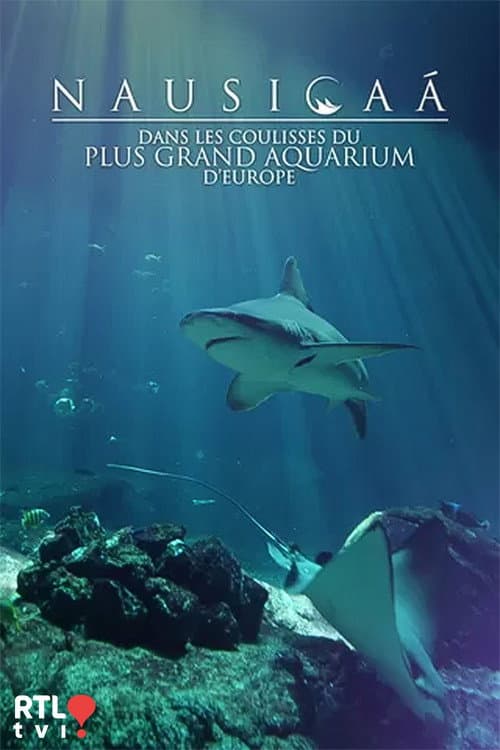 Nausicaá : Dans les coulisses du plus grand aquarium d'Europe Season 1 poster