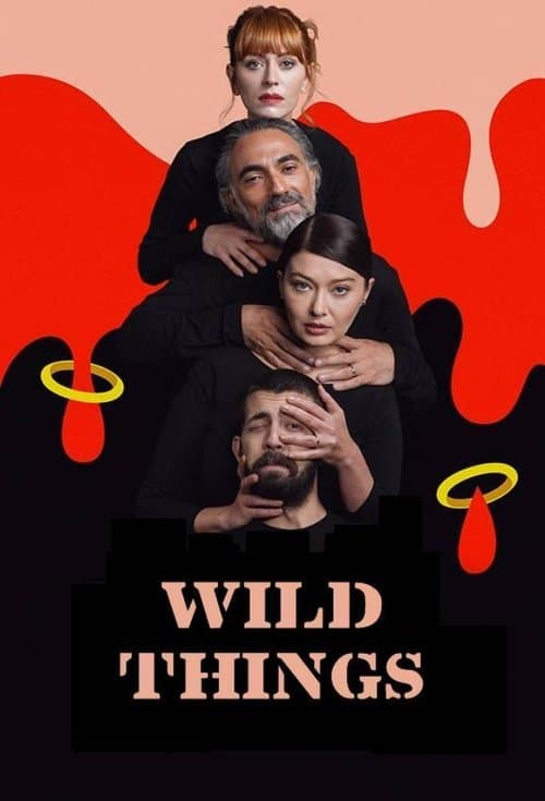 Wild Things Season 1 poster