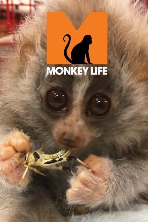 Monkey Life Season 2 poster