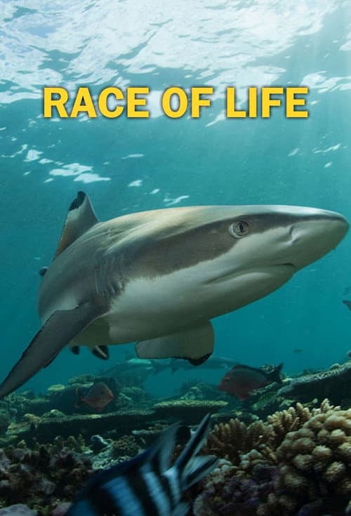 Race of life Season 1 poster