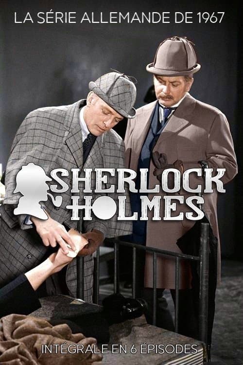 Sherlock Holmes Season 1 poster