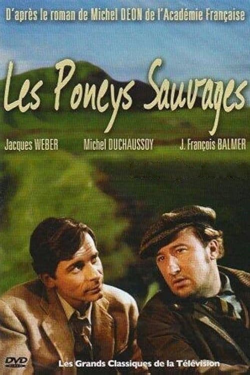 Les Poneys sauvages Season 1 poster