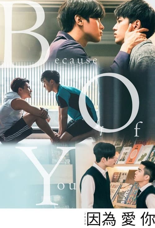 Because of You Season 1 poster