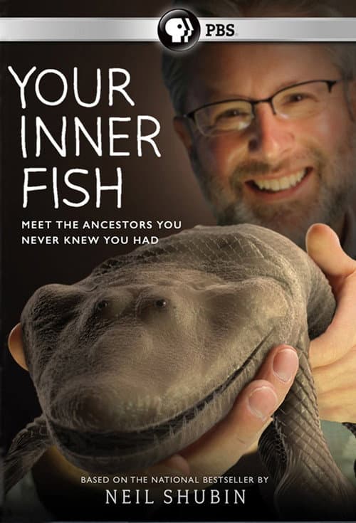 Your Inner Fish Season 1 poster