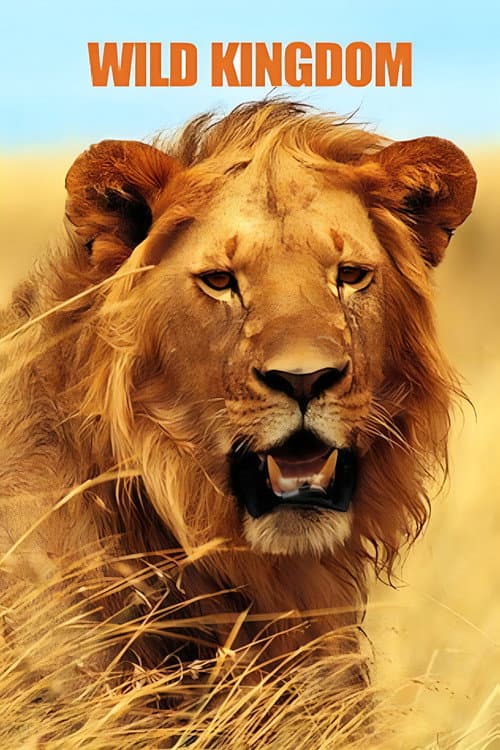 Wild Kingdom Season 1 poster