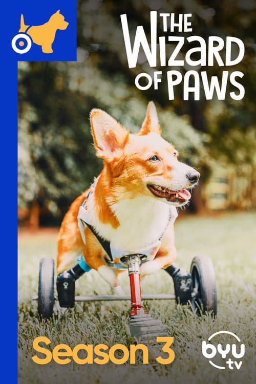 The Wizard of Paws Season 3 poster