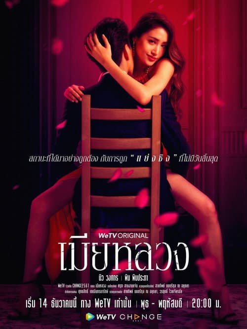 The Wife Season 1 poster