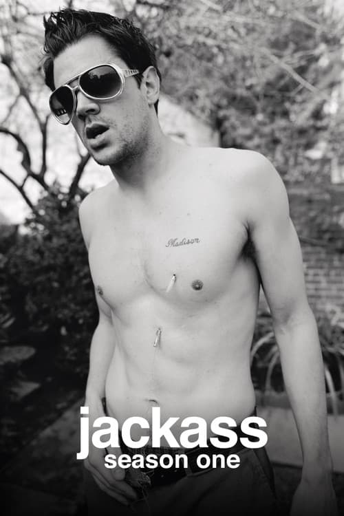 Jackass Volume 1 poster