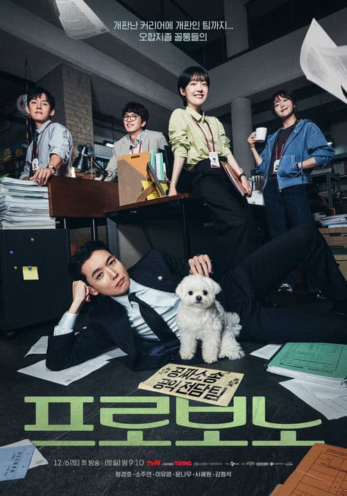 Pro Bono Season 1 poster