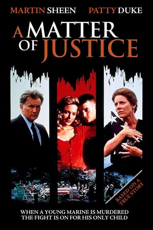 A Matter of Justice Miniseries poster