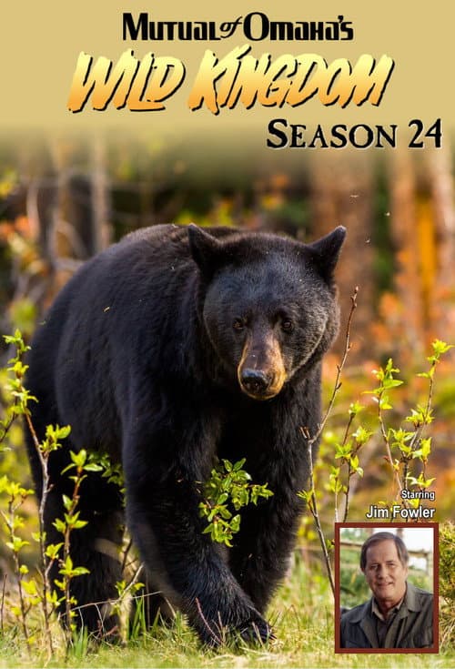 Mutual of Omaha's Wild Kingdom Season 24 poster