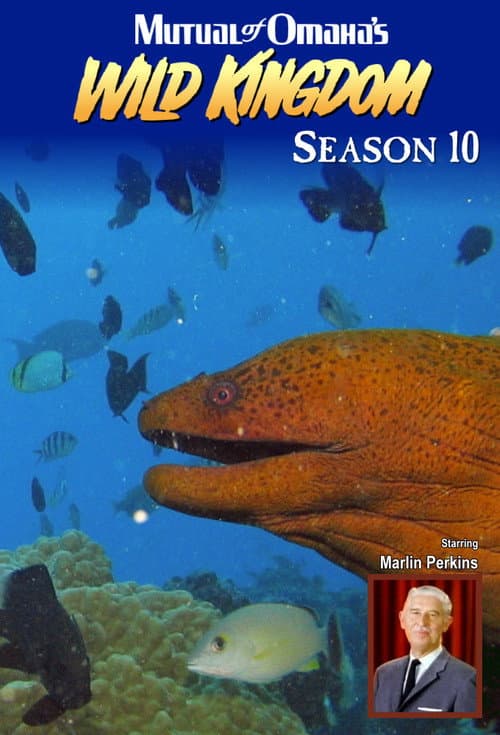 Mutual of Omaha's Wild Kingdom Season 10 poster