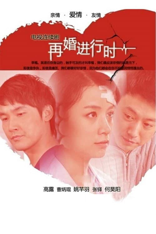 再婚进行时 Season 1 poster