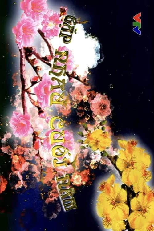 Gặp nhau cuối năm Tết Giáp Thân: Táo Quân 2004 poster