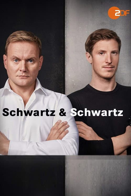 Schwartz & Schwartz Season 1 poster