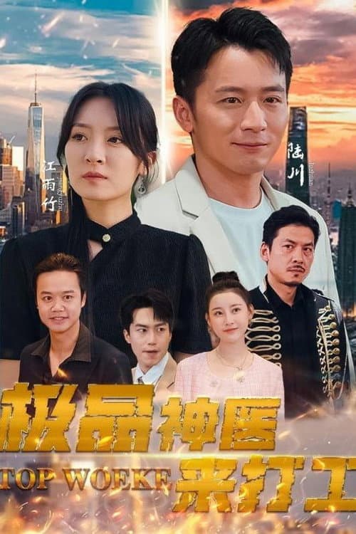 极品神医来打工 Season 1 poster