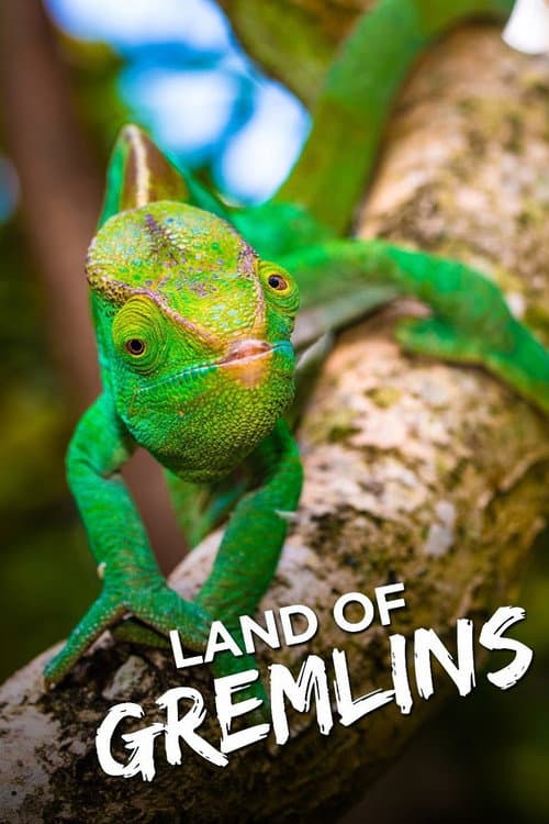 Land of Gremlins Season 1 poster