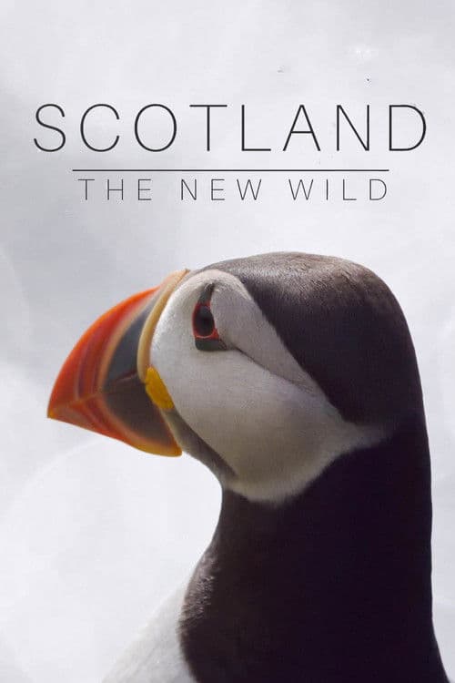 Scotland: The New Wild Season 1 poster
