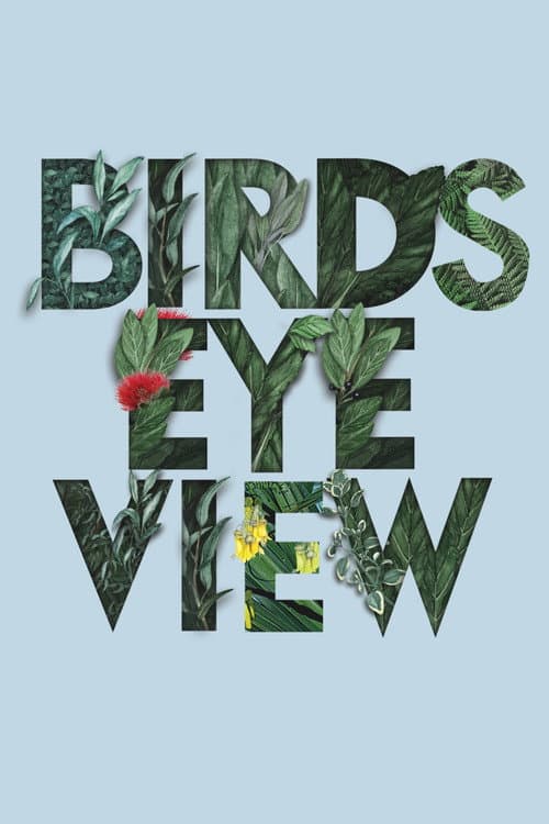 Bird's Eye View Season 1 poster