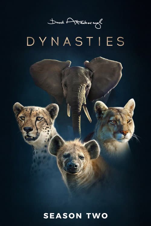 Dynasties Dynasties II poster