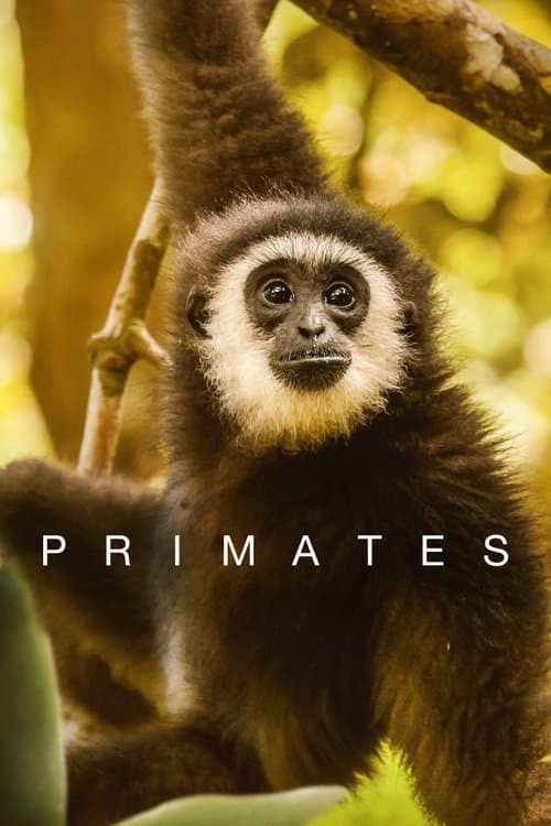 Primates Season 1 poster