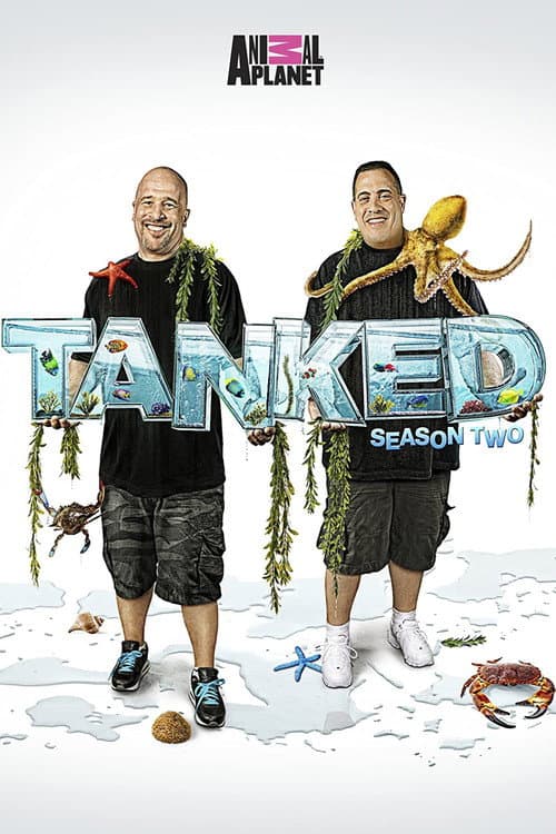 Tanked Season 2 poster