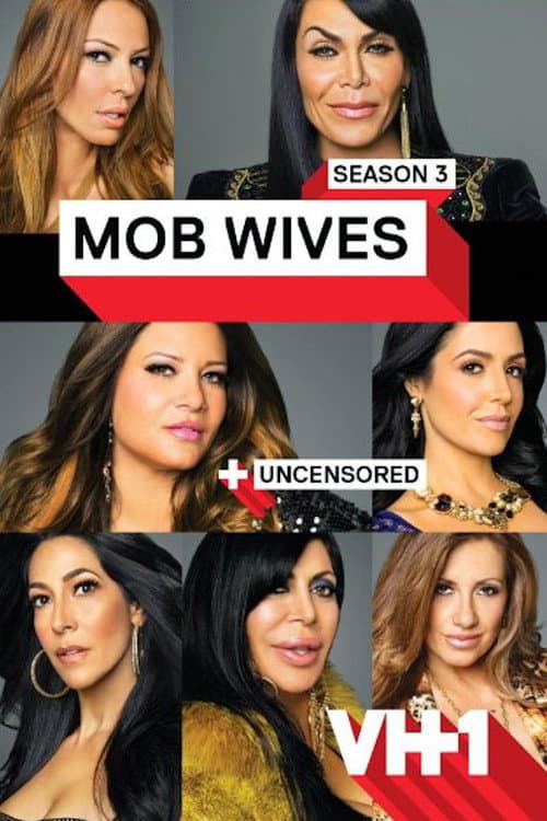 Mob Wives Season 3 poster