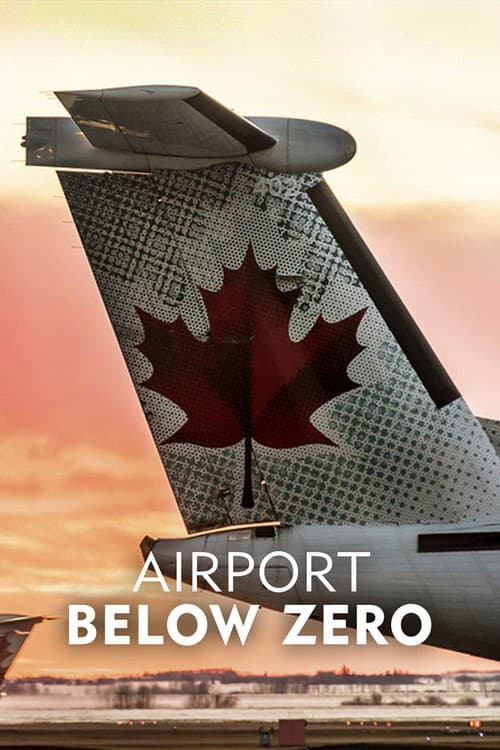 Airport: Below Zero Season 1 poster