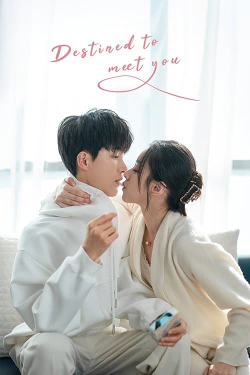 Destined to Meet You Season 1 poster