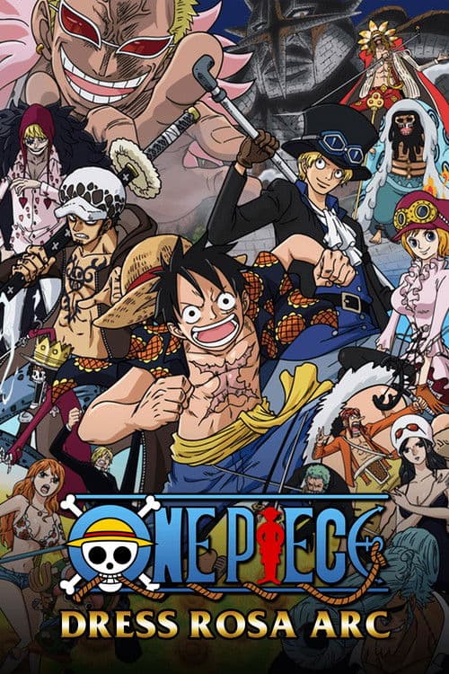 One Piece Dressrosa poster