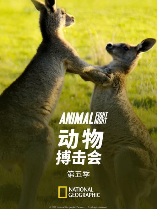 Animal Fight Night Season 5 poster