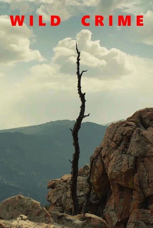 Wild Crime Murder in the Rocky Mountains poster