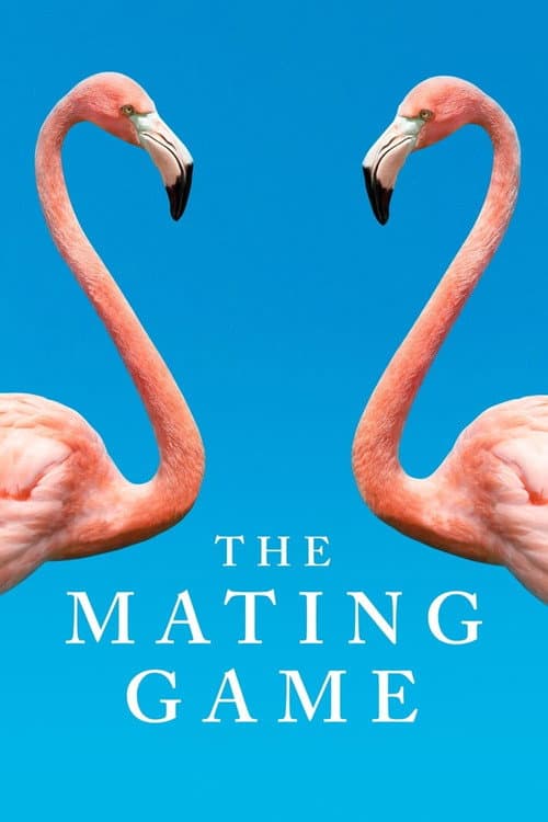 The Mating Game Season 1 poster