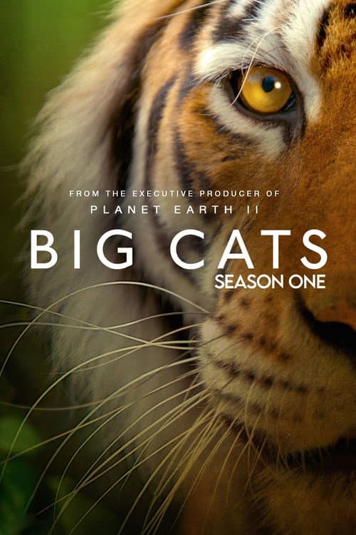 Big Cats Miniseries poster