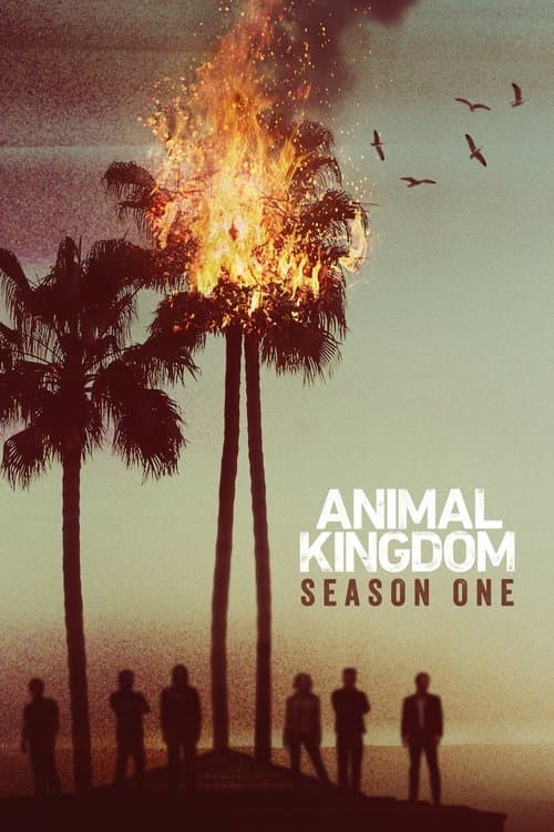 Animal Kingdom Season 1 poster