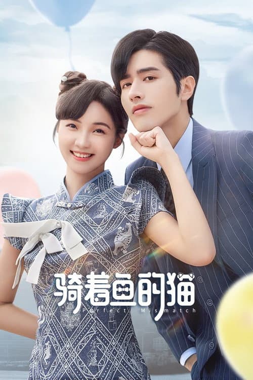Perfect Mismatch Season 1 poster