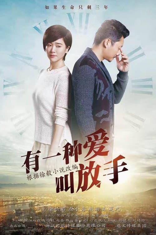 家年华 Season 1 poster