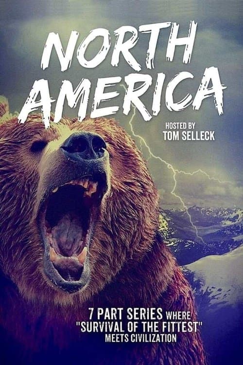 North America Miniseries poster