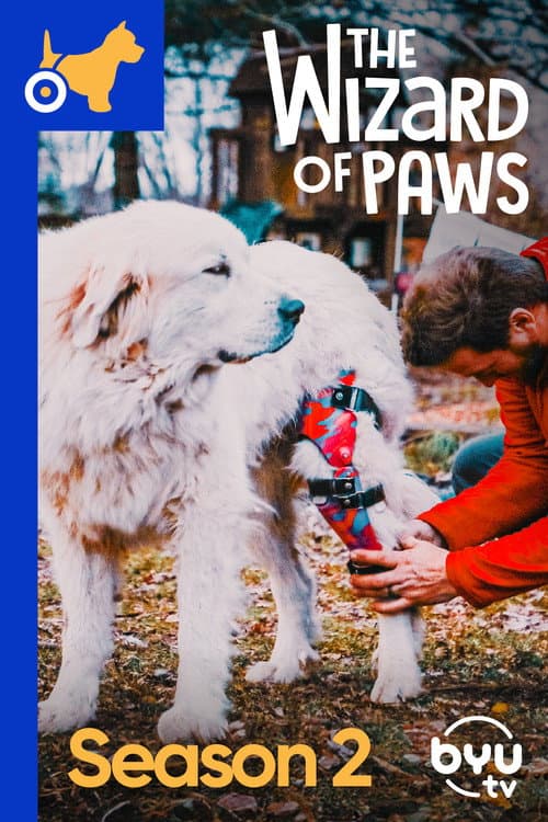 The Wizard of Paws Season 2 poster