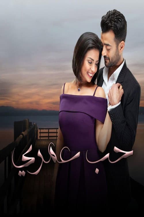 Love of My Life Season 1 poster