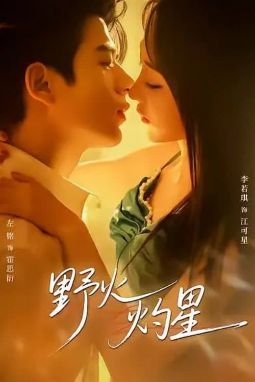 野火灼星 Season 1 poster