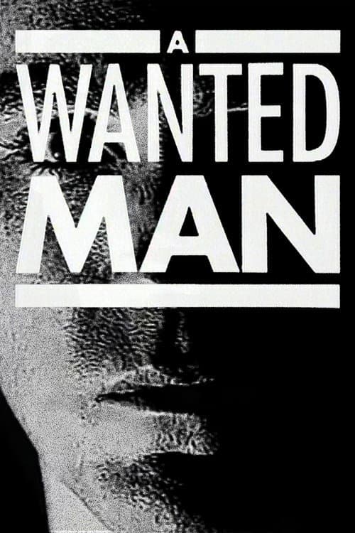 A Wanted Man Miniseries poster