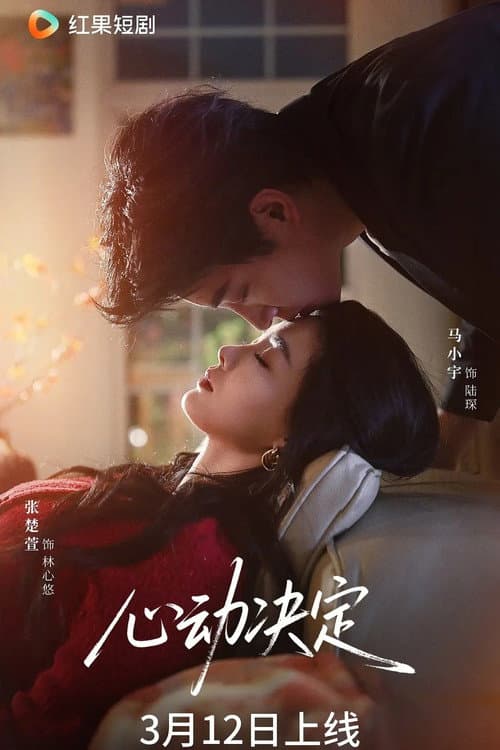 心动决定 Season 1 poster